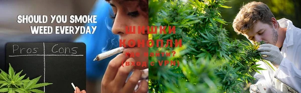 прущие грибы Заволжск