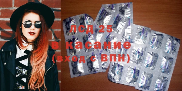 прущие грибы Заволжск
