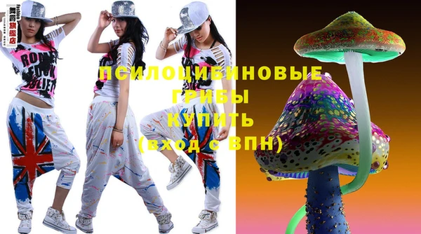 дмт Россошь