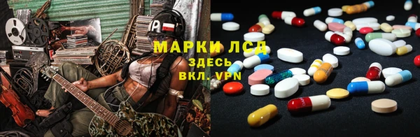 прущие грибы Заволжск