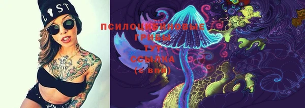 спиды Приозерск