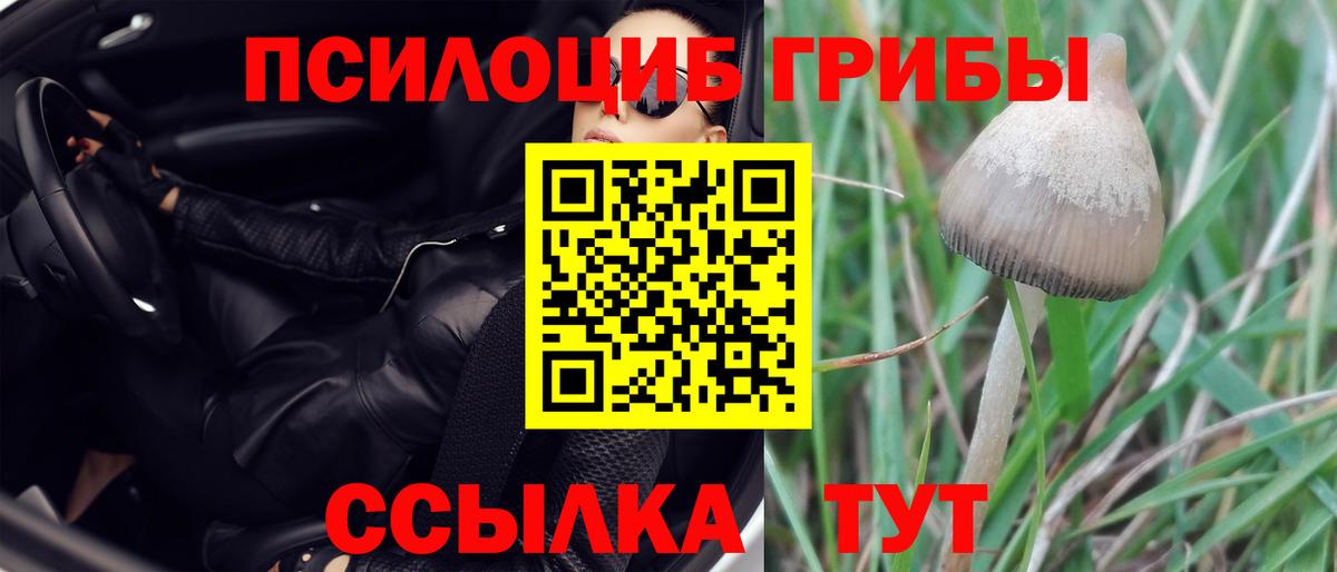 Северобайкальск  Галлюциногенные грибы MAGIC MUSHROOMS  Вход с VPN 