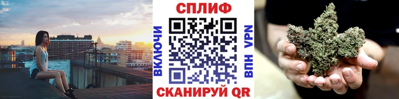 Бошки Шишки план  магазин продажи   Северобайкальск 